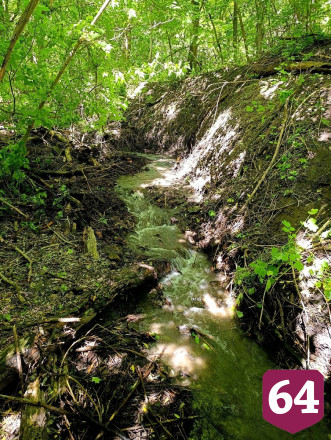 Саратовские волонтеры достали унитаз и черепа животных из спасенного ручья
