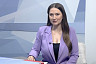 Численность лосей в Саратовской области превысила 8 тысяч особей