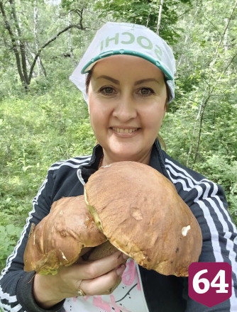 Саратовцы собирают грибы-гиганты на Кумысной поляне 